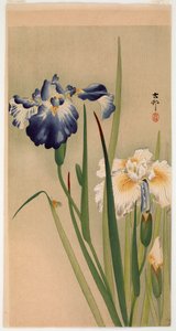 Pequeño insecto en lirios en flor de Ohara Koson